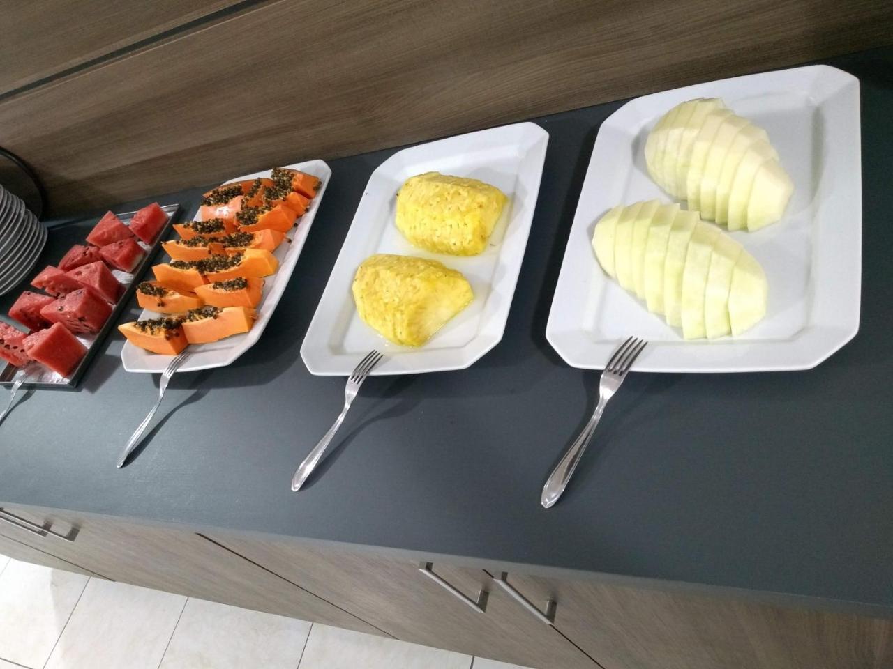 Hotel Mariluz Telêmaco Borba Εξωτερικό φωτογραφία
